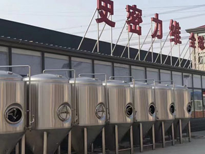 桑日精酿啤酒设备厂—如何判断精酿啤酒设备的密封件需要更换？